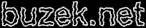 buzek.net